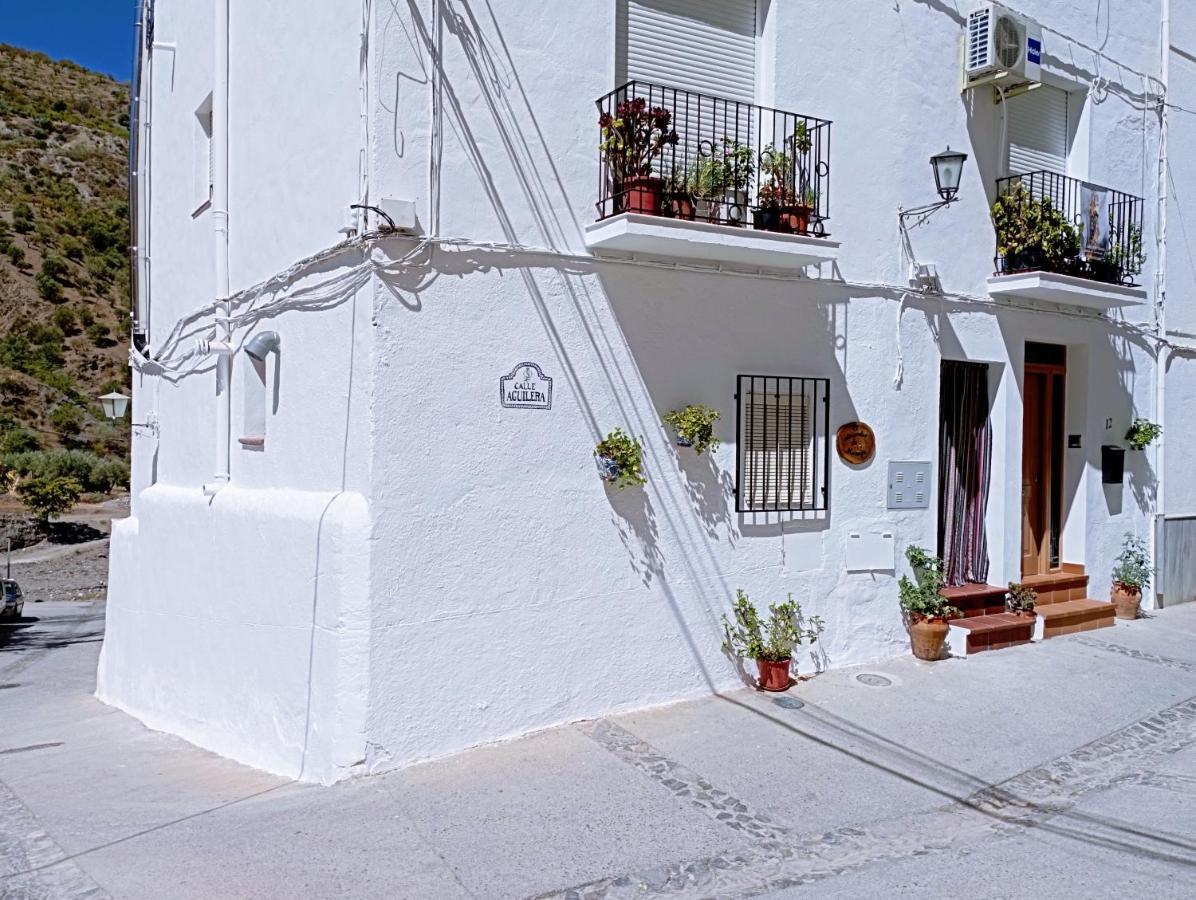 El Almendro De Maruja *