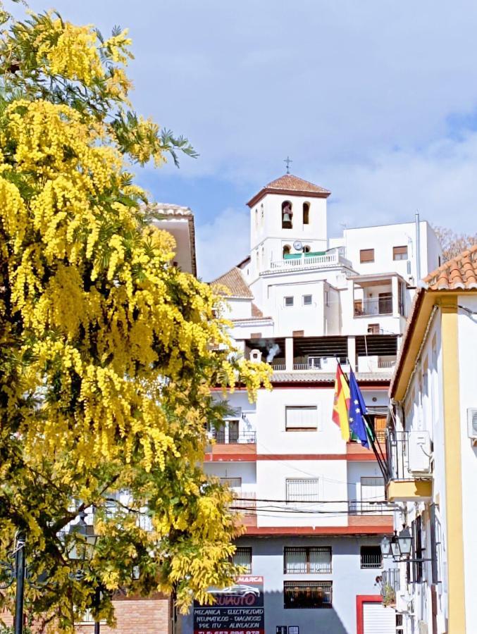 El Almendro De Maruja