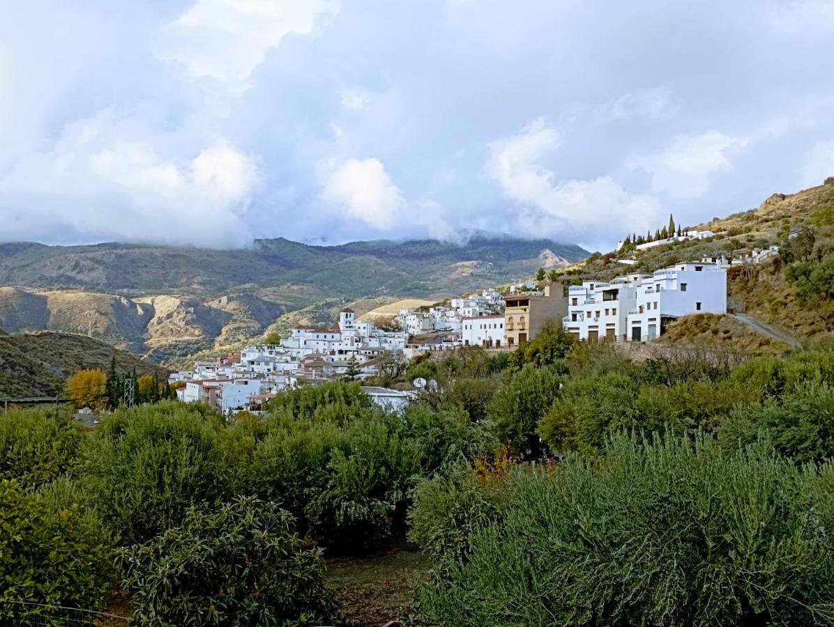 Apartment El Almendro De Maruja Torviscon